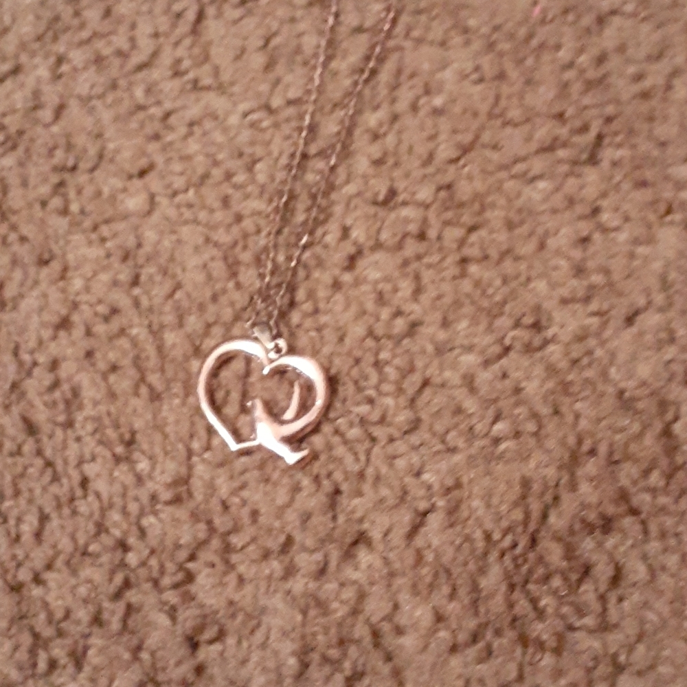 Heart shaped necklace with a dove on it